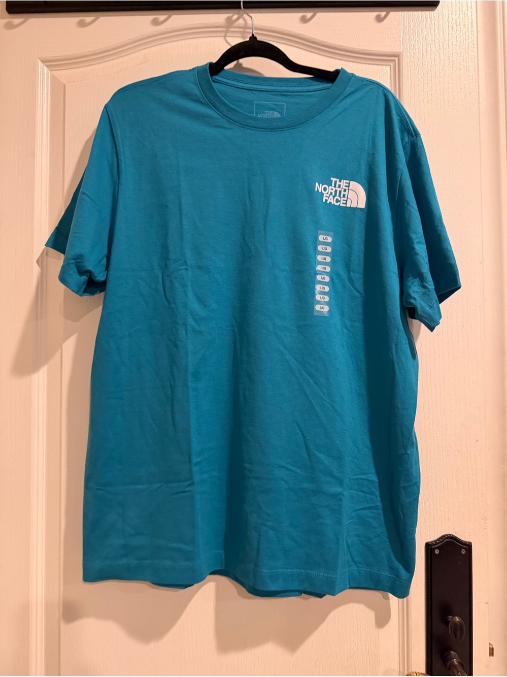 The North Face Men’s Short Sleeve Tee in Teal Blue with White Logo